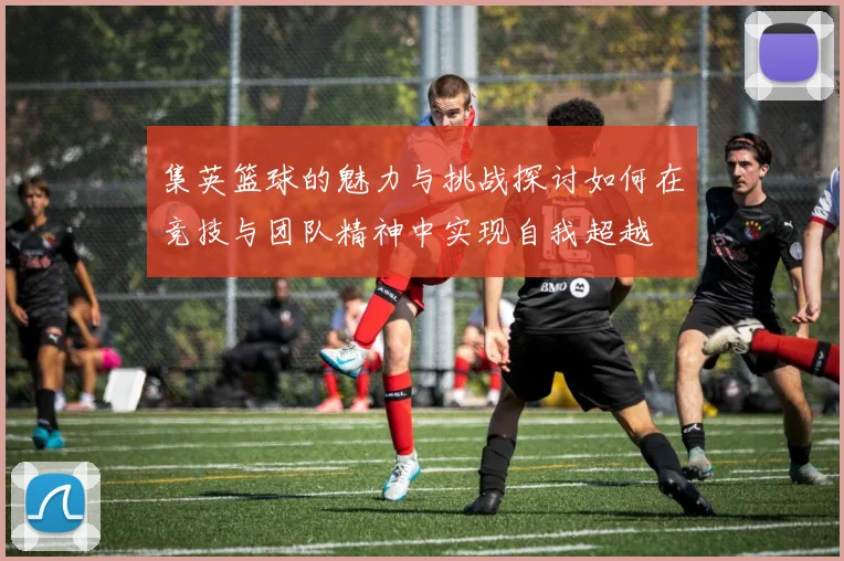 集英篮球的魅力与挑战探讨如何在竞技与团队精神中实现自我超越