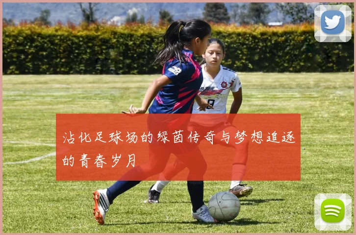 沾化足球场的绿茵传奇与梦想追逐的青春岁月