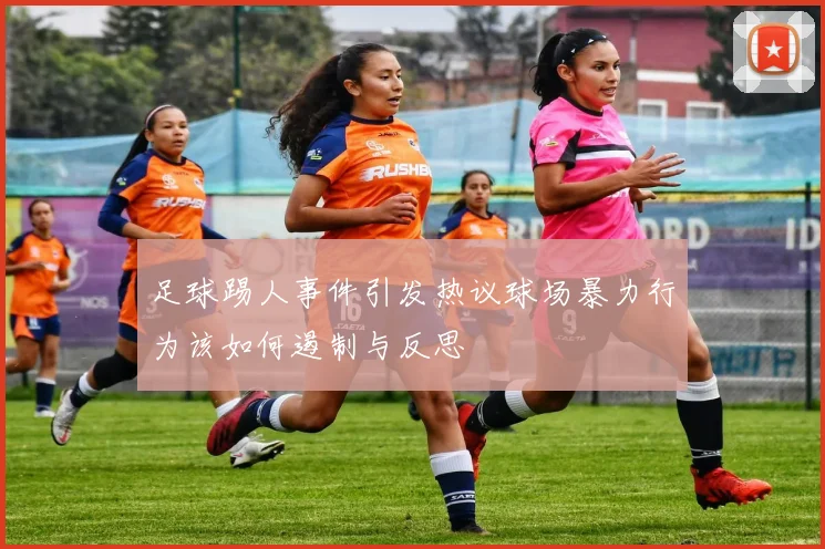 足球踢人事件引发热议球场暴力行为该如何遏制与反思