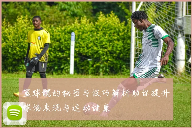 篮球髋的秘密与技巧解析助你提升球场表现与运动健康