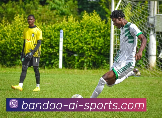 半岛体育APP 封面图